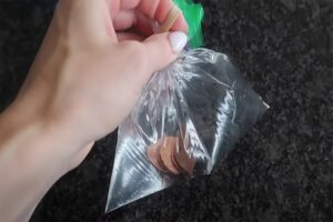 Bye-Bye Flies: Discover The Ingenious Penny Trick To Help You Get Rid