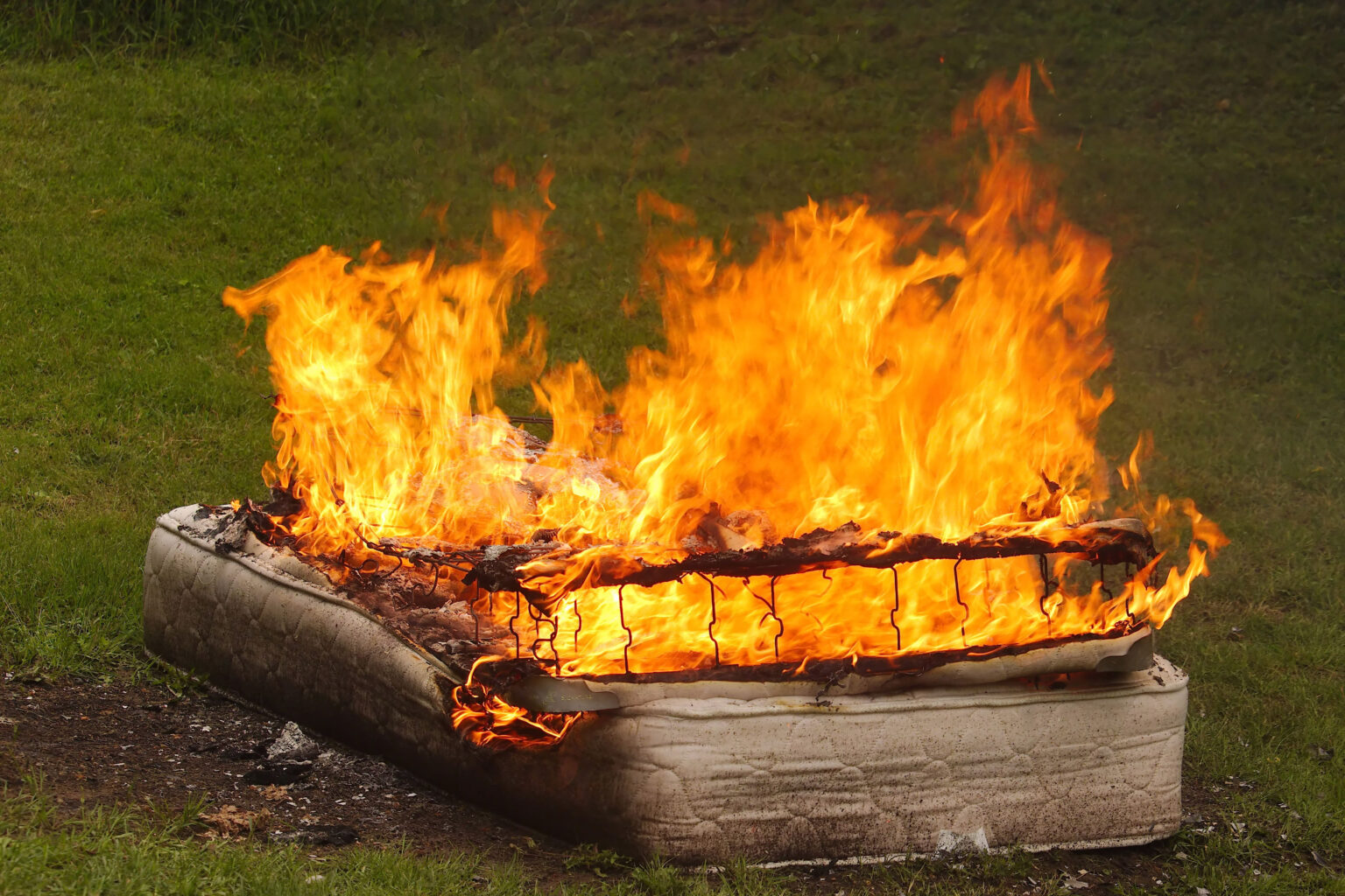 Discover the Hidden Danger of a Mattress Infested with Deadly