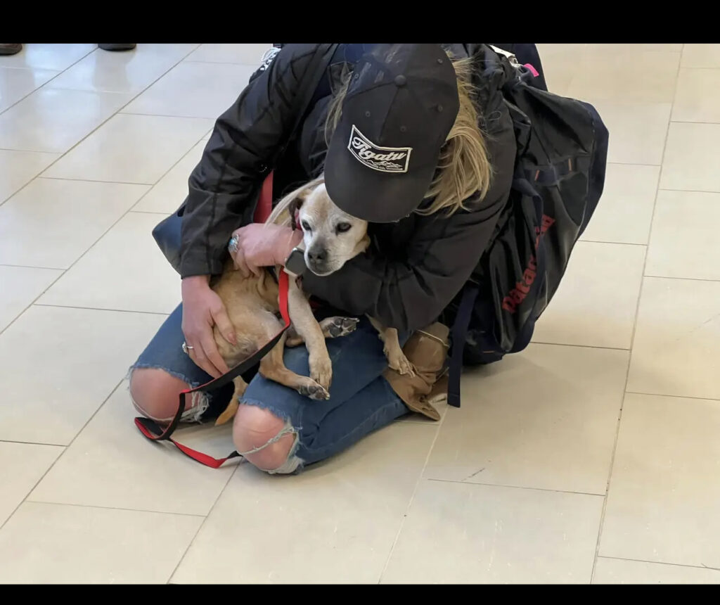 Airport crowd watching woman hug her missing dog