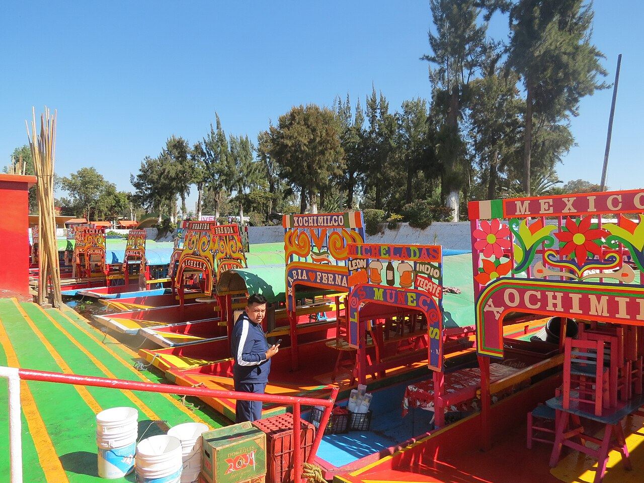 Colorful trajinera boats moored along a canal in Xochimilco, Mexico City, the axolotl's only wild habitat